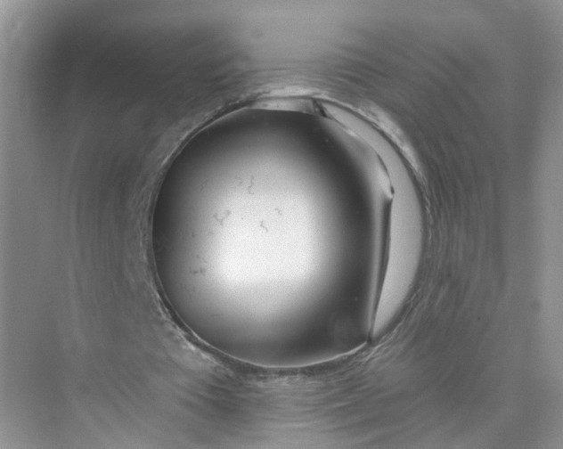 X0000073850385200608312006