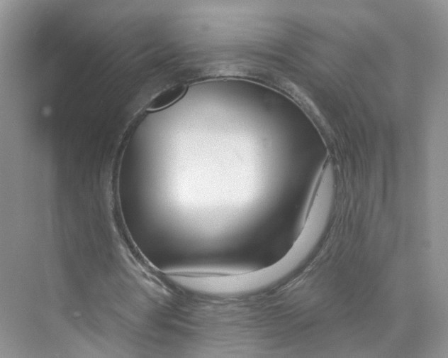 X0000073850386200608312006