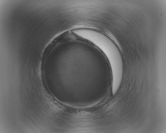 X0000073850387200608312006