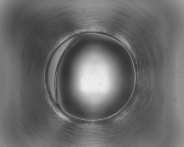 X0000073850389200608312006