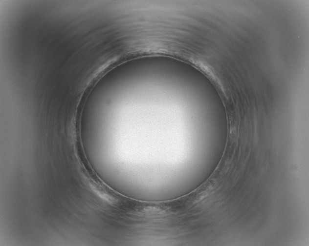 X0000073850390200608312006