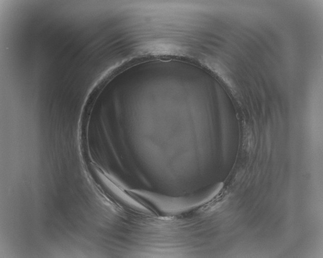 X0000073850391200608312006