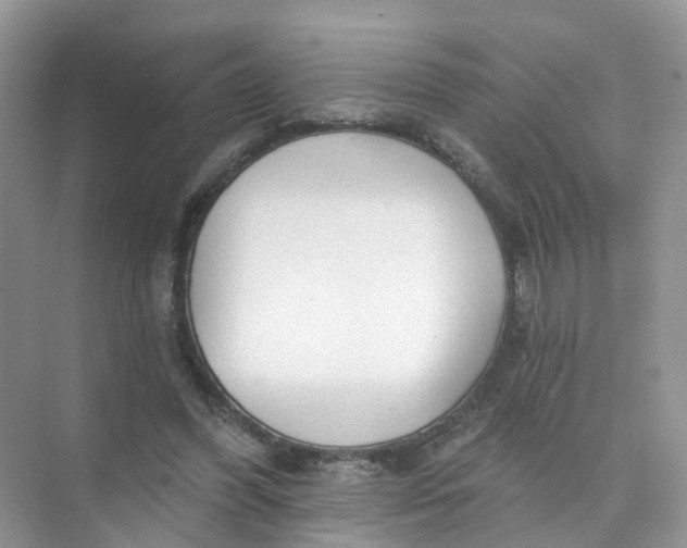 X0000073850396200608312006