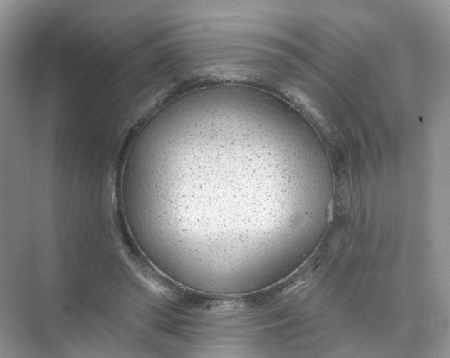 X0000073850398200608312006