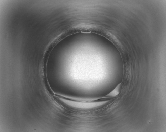 X0000073850399200608312006