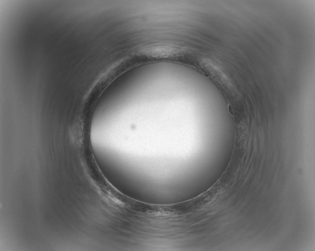 X0000073850400200608312006