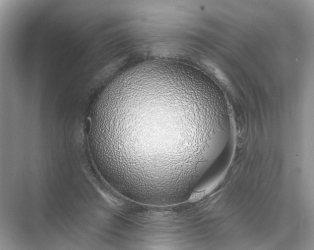 X0000073850401200608312006