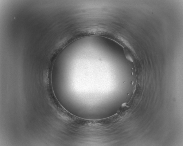 X0000073850403200608312006