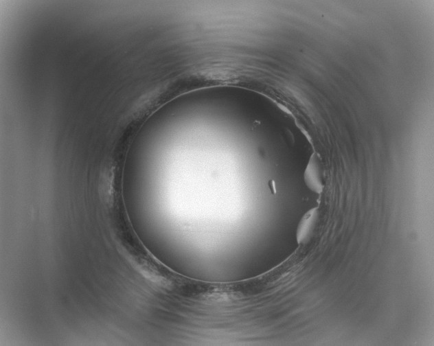 X0000073850404200608312006