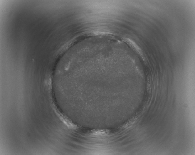 X0000073850405200608312006