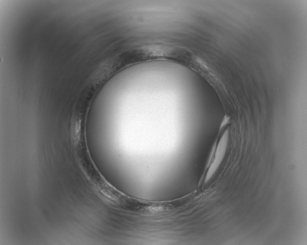 X0000073850406200608312006