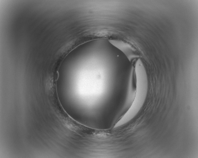 X0000073850407200608312006