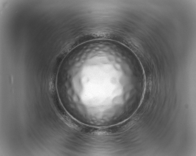 X0000073850408200608312006