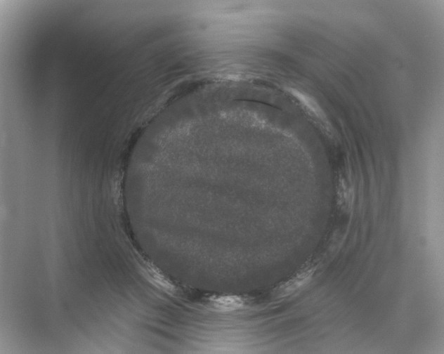 X0000073850409200608312006