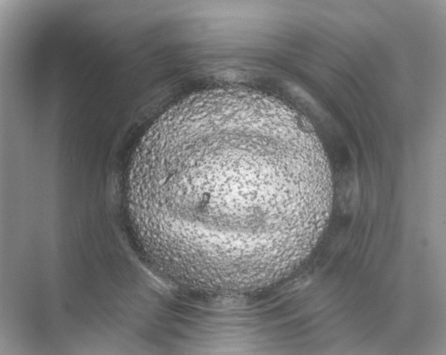 X0000073850410200608312006