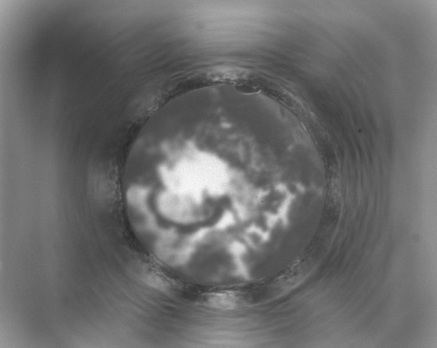 X0000073850411200608312006