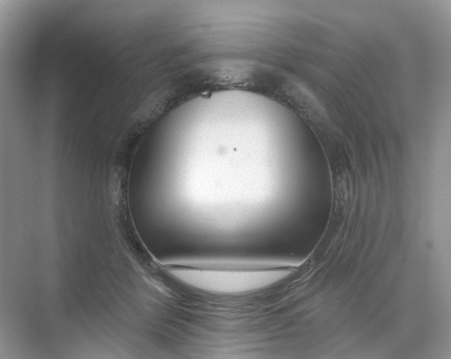 X0000073850412200608312006