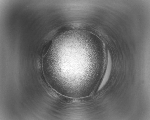 X0000073850413200608312006