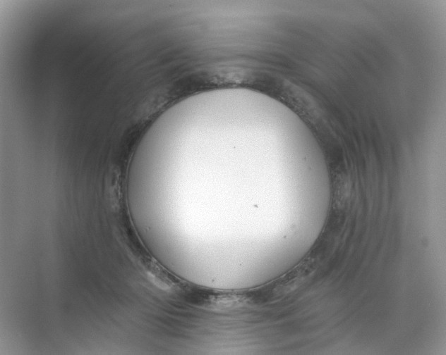 X0000073850414200608312006