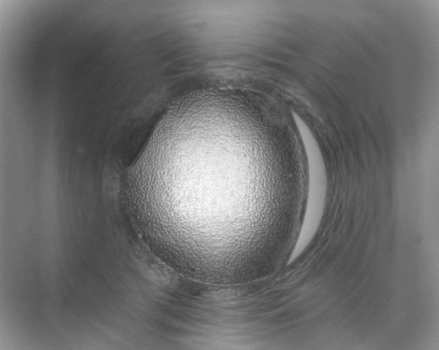 X0000073850417200608312006