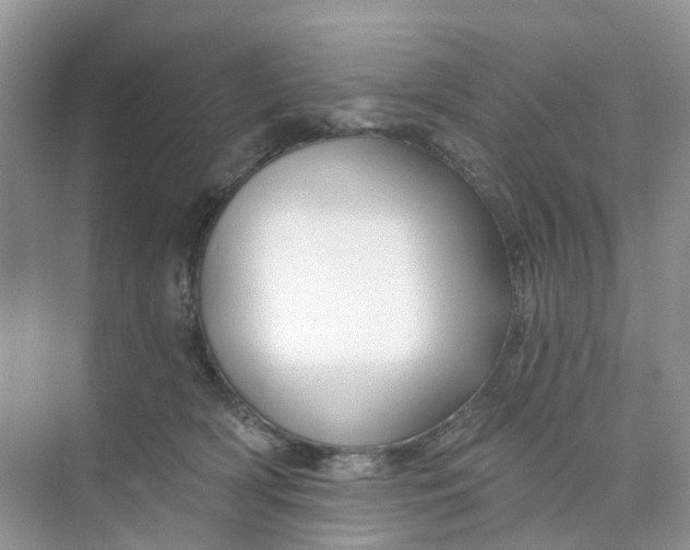 X0000073850418200608312006