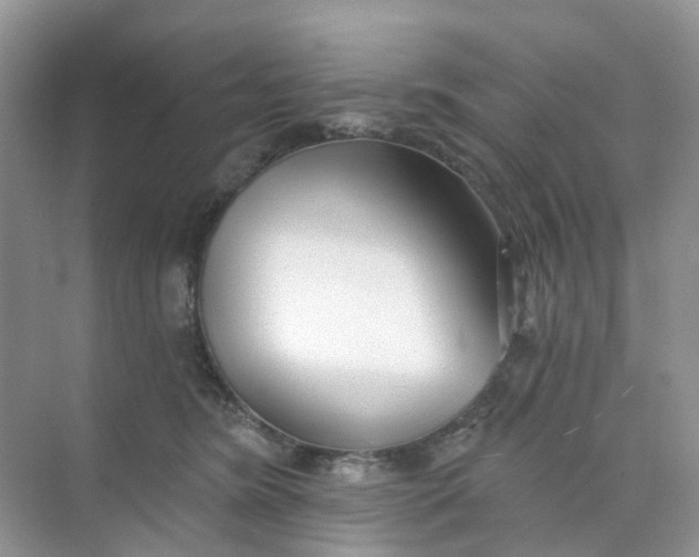 X0000073850420200608312005