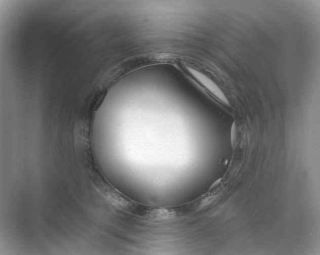 X0000073850421200608312005