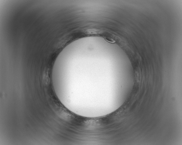 X0000073850422200608312005