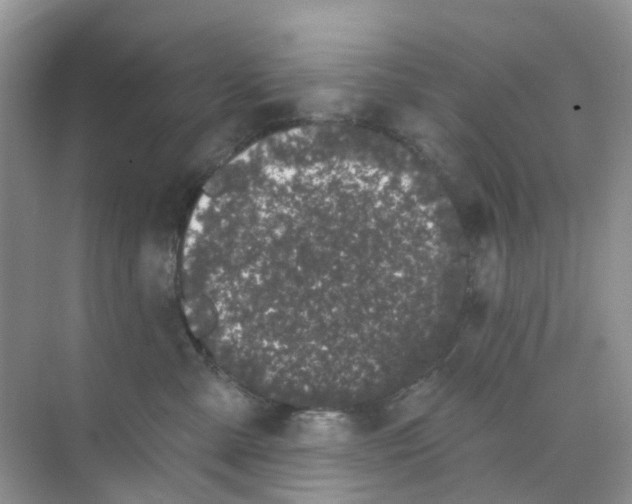 X0000073850427200608312005