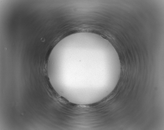 X0000073850429200608312005