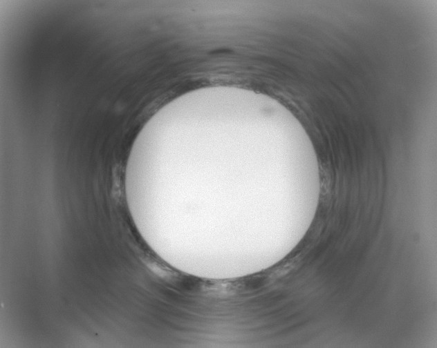 X0000073850430200608312005