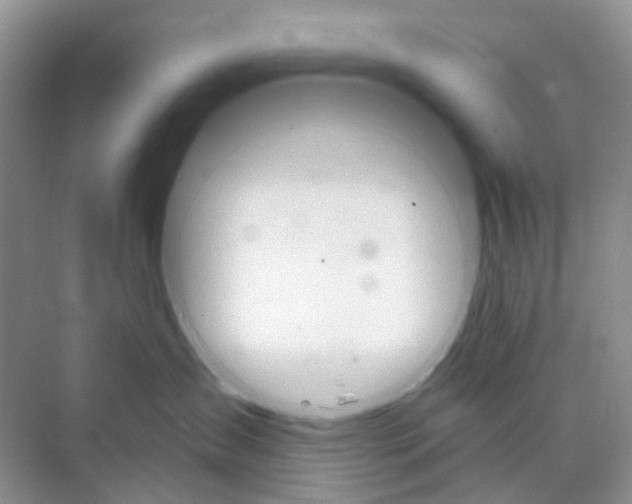 X0000073850431200608312005