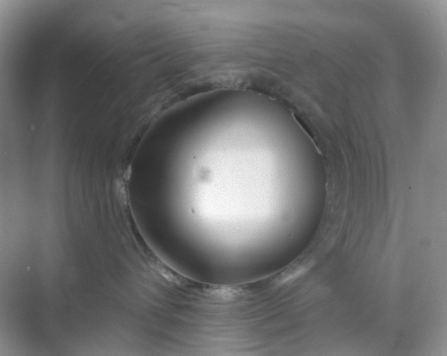 X0000073850432200608312005