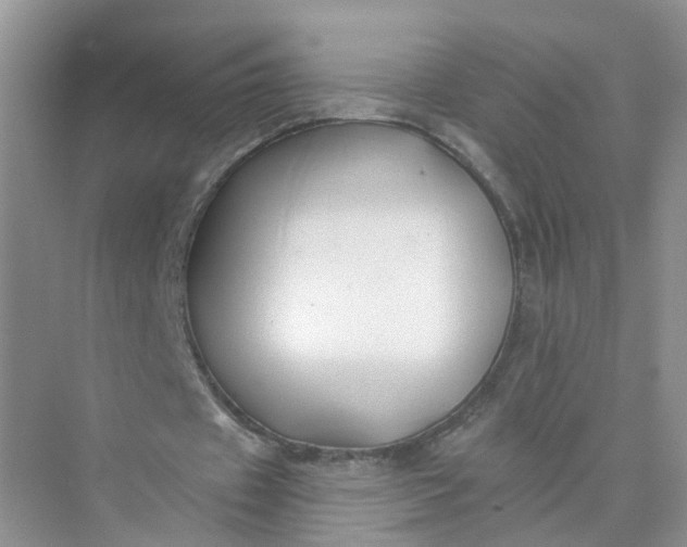 X0000073850433200608312004