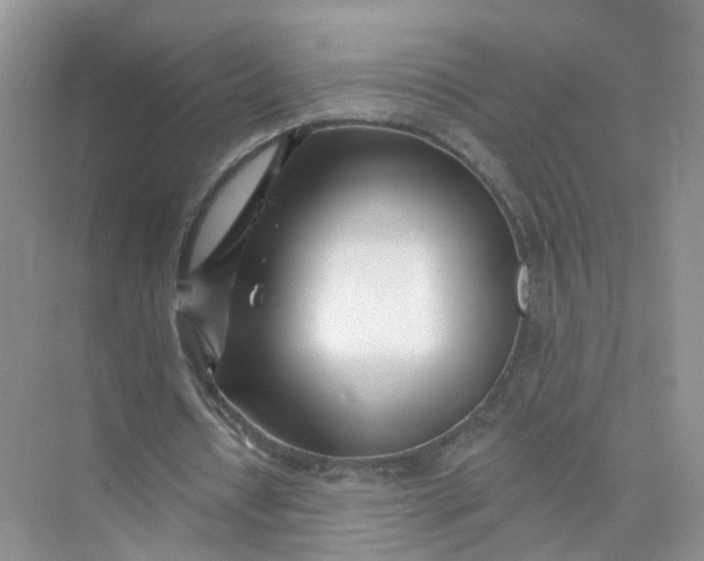 X0000073850434200608312004