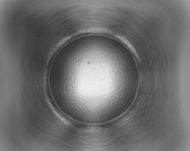 X0000073850437200608312005