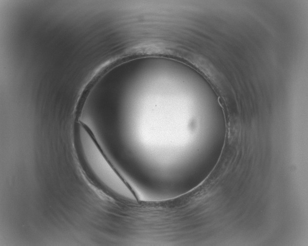 X0000073850438200608312005