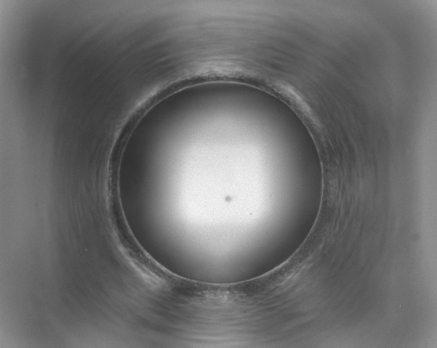 X0000073850439200608312005