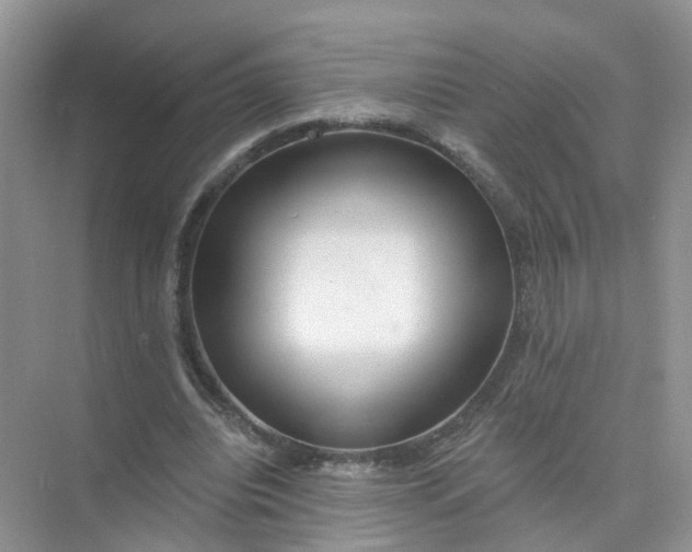 X0000073850440200608312005