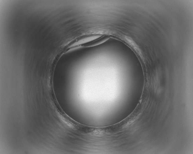 X0000073850441200608312005