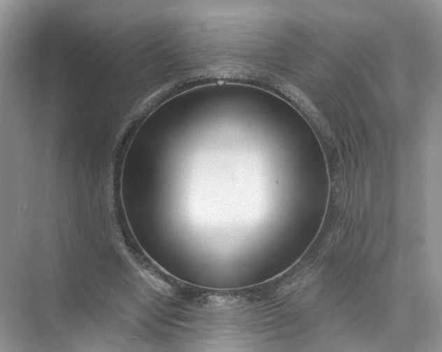 X0000073850442200608312005