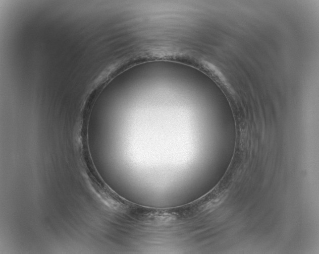 X0000073850443200608312005