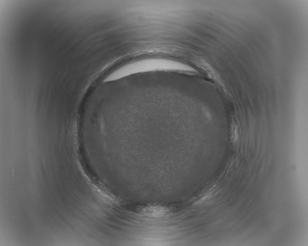 X0000073850444200608312005