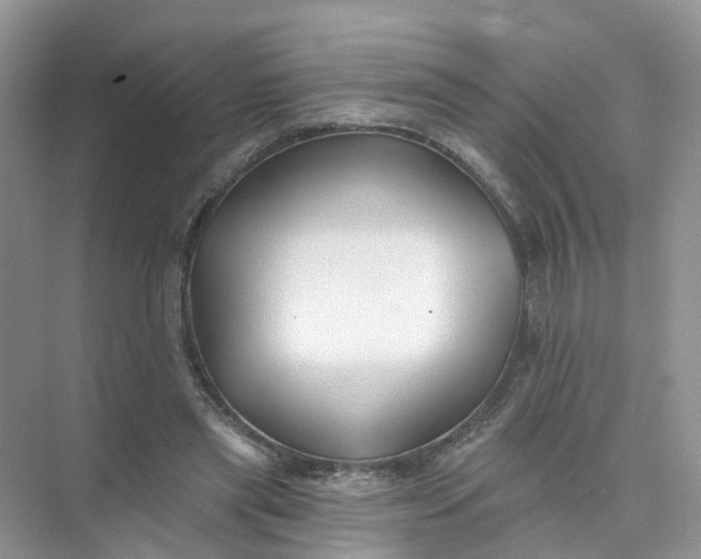 X0000073850445200608312005