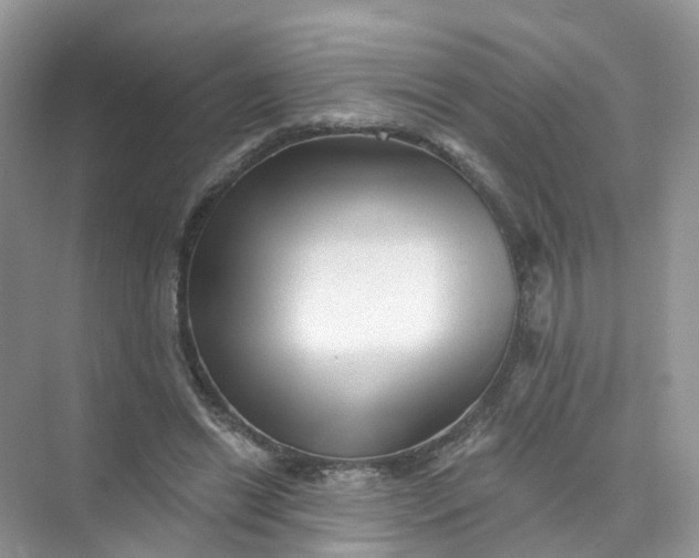 X0000073850446200608312005