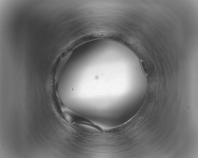 X0000073850448200608312005