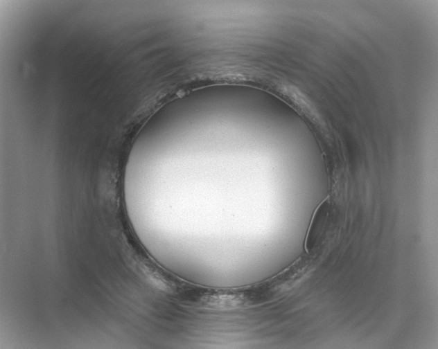 X0000073850449200608312005