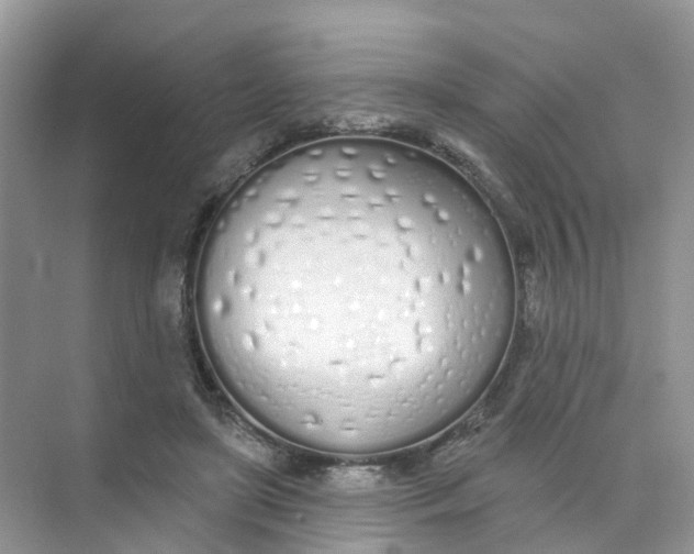 X0000073850451200608312005