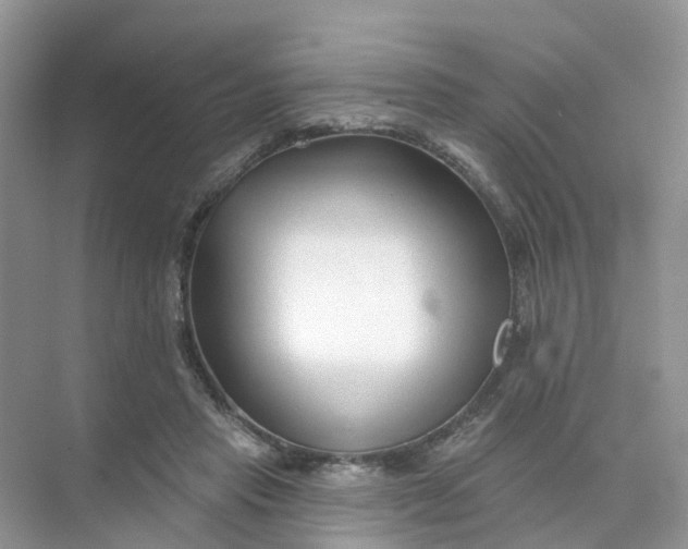 X0000073850453200608312005