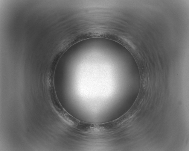 X0000073850455200608312005